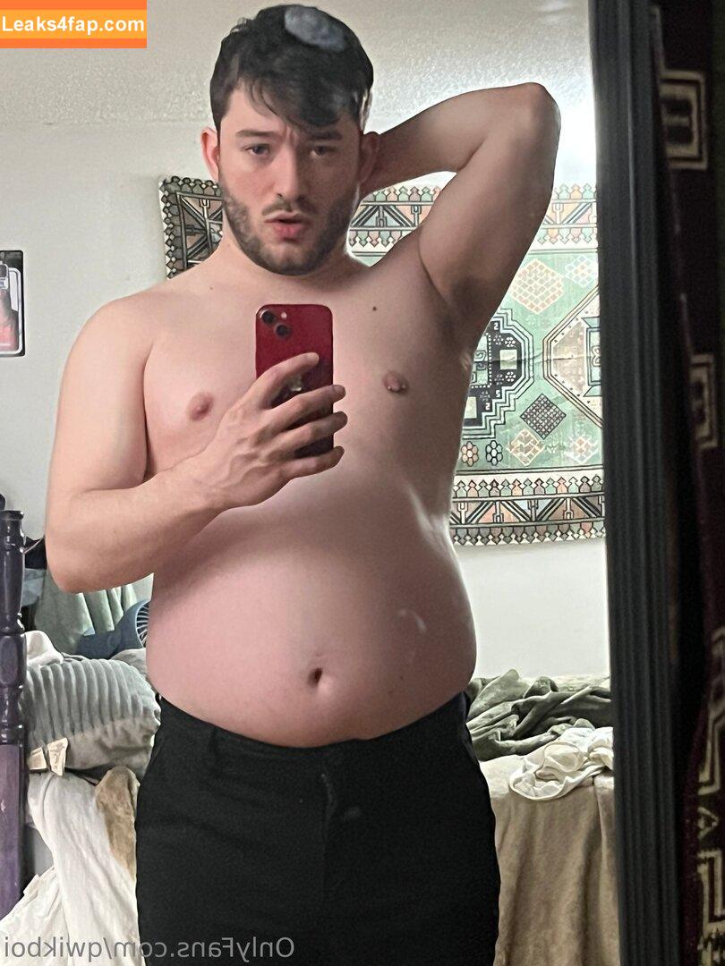 qwikboi / nerdroberts leaked photo photo #0045