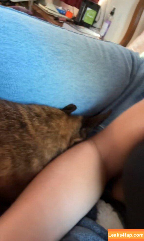 Rachel Michelle / Beautyandbrainswithatwist / rachellemichelle leaked photo photo #3831