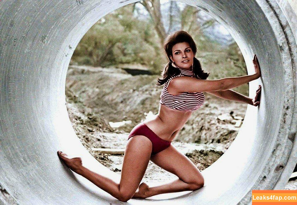 Raquel Welch / therealraquelwelch слитое фото фото #0070