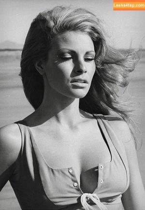 Raquel Welch photo #0094