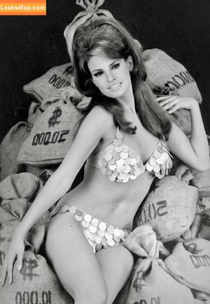 Raquel Welch photo #0096