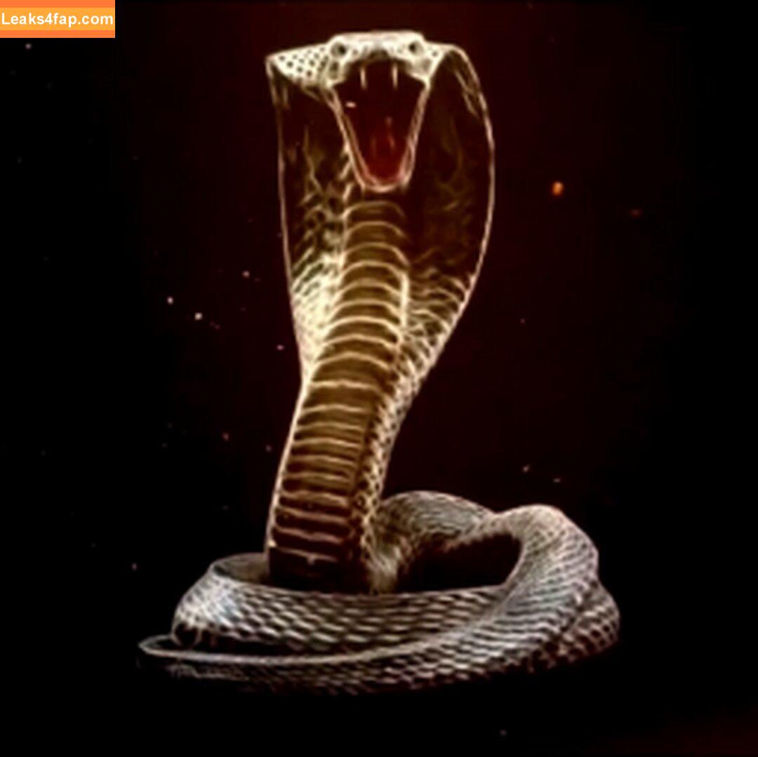 RealKingCobra / King cobra / realblackdoor leaked photo photo #0008