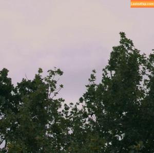 Rebecca Volpetti photo #0230