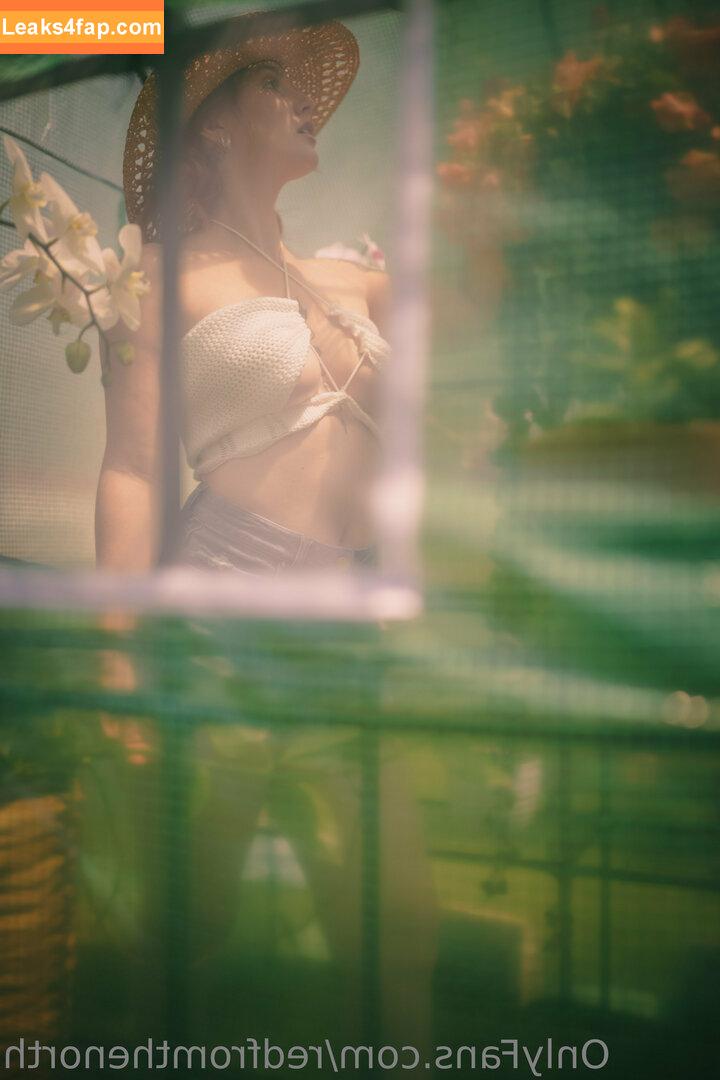 redfromthenorth / Natalie Lust / teeellgee leaked photo photo #0017