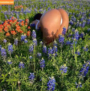 Regina Unite photo #0015