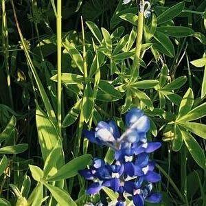 Regina Unite photo #0020