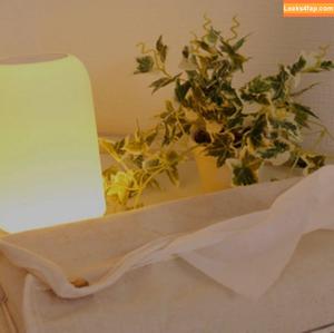 Reiko Kobayakawa photo #0137