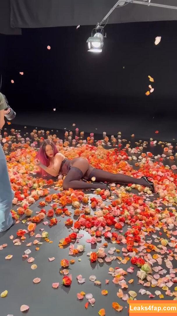 Rihanna / badgalriri leaked photo photo #3780