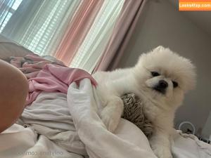 Riley Steele photo #1001