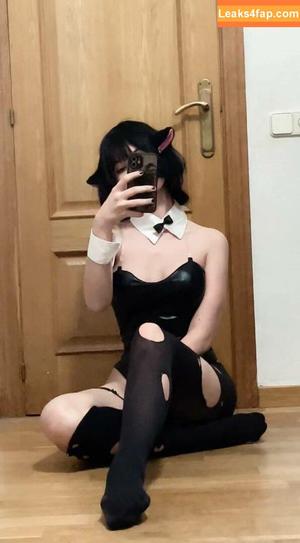 rincospl photo #0037