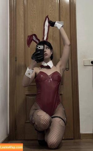 rincospl photo #0202