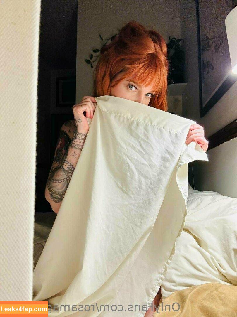 rosamagnoliaxo / rosa_magnoliaxo leaked photo photo #0084