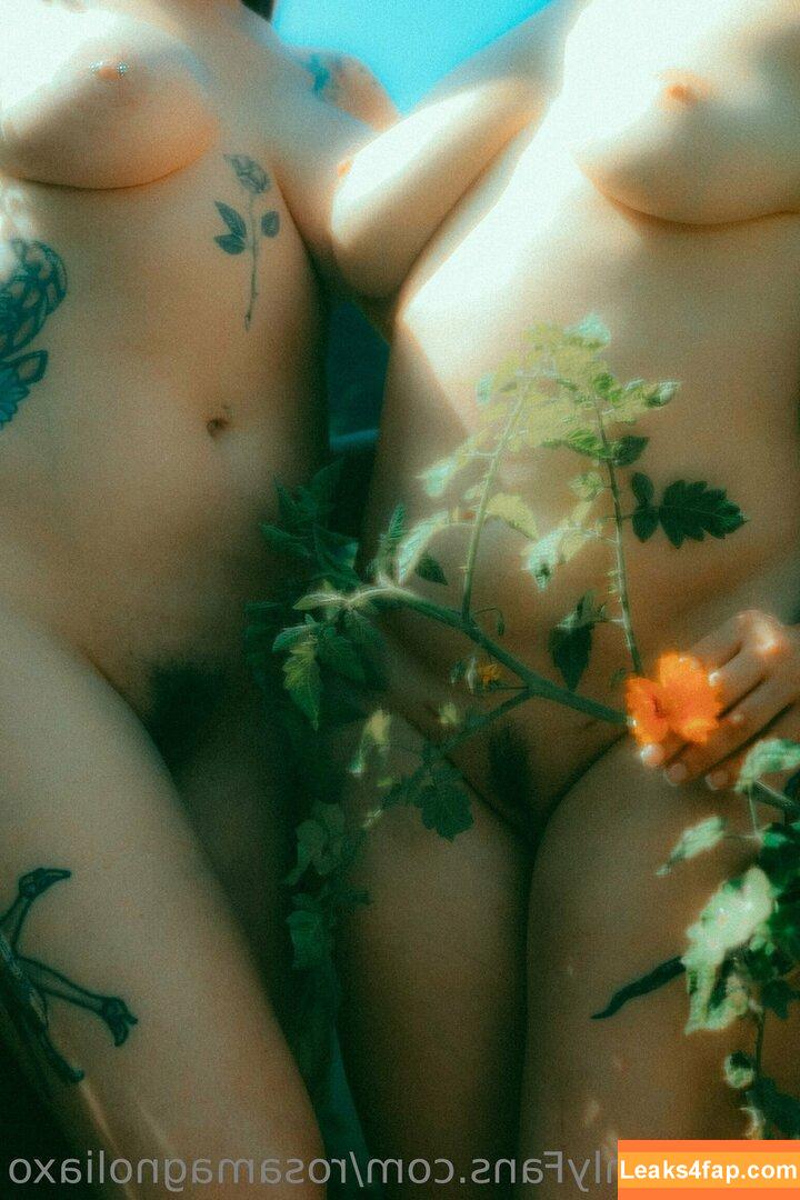 rosamagnoliaxo / rosa_magnoliaxo leaked photo photo #0237
