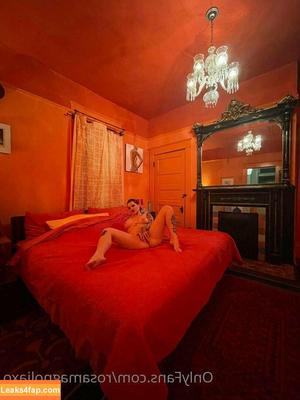 rosamagnoliaxo photo #0059