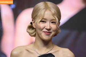 Rose Black Pink photo #0002