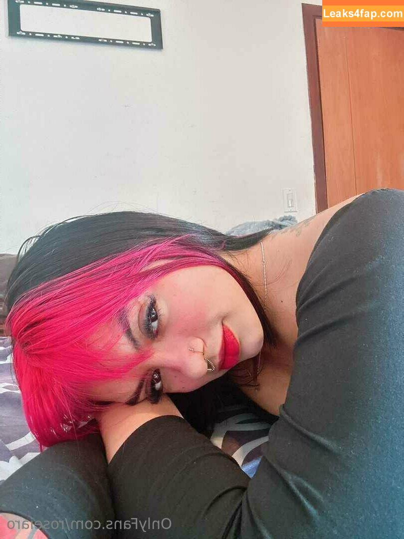 roseiaro / r.e.rosario leaked photo photo #0269