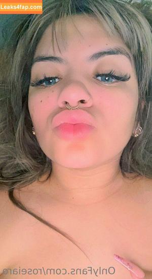 roseiaro photo #0035