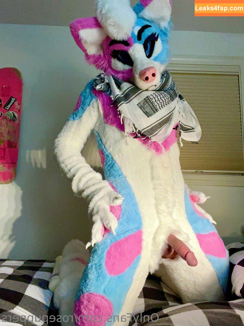 rosepuppers /  слитое фото фото #0001