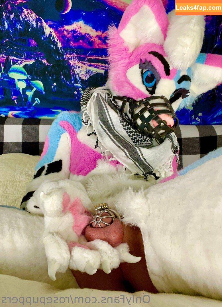 rosepuppers /  слитое фото фото #0003