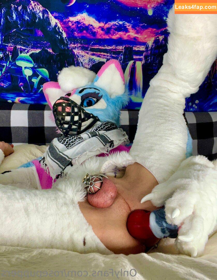 rosepuppers /  слитое фото фото #0004