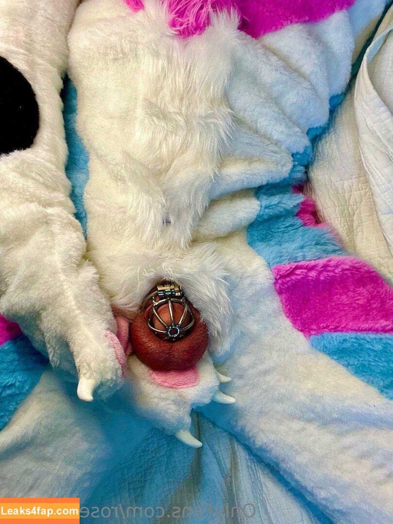 rosepuppers /  слитое фото фото #0006