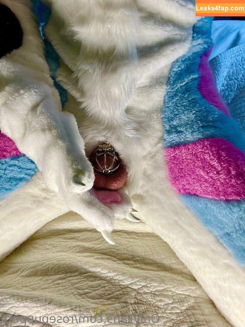 rosepuppers /  слитое фото фото #0007