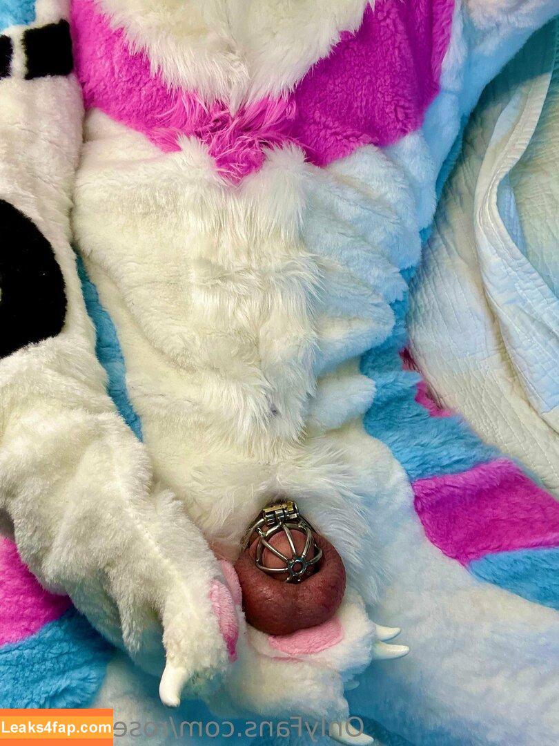 rosepuppers /  слитое фото фото #0008