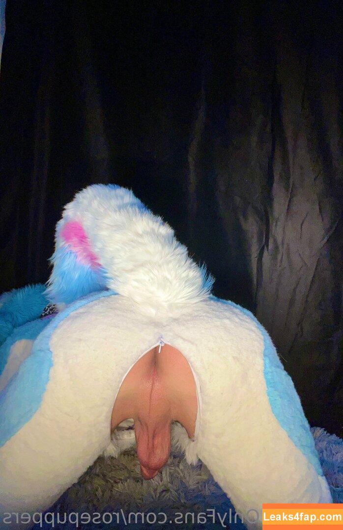 rosepuppers /  слитое фото фото #0009