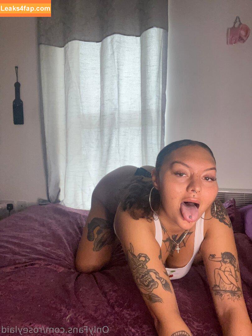 rosey_the_throaty / rosey_the_reader leaked photo photo #0008
