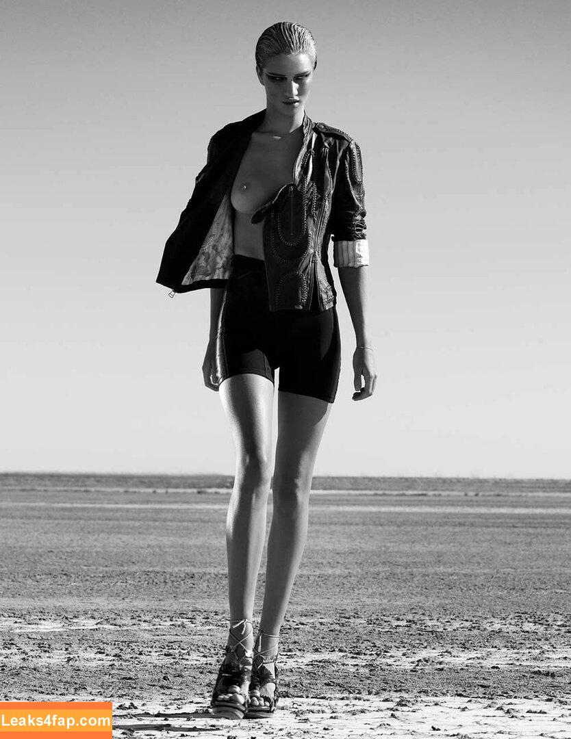 Rosie Huntington-Whiteley / rosiehw слитое фото фото #0229