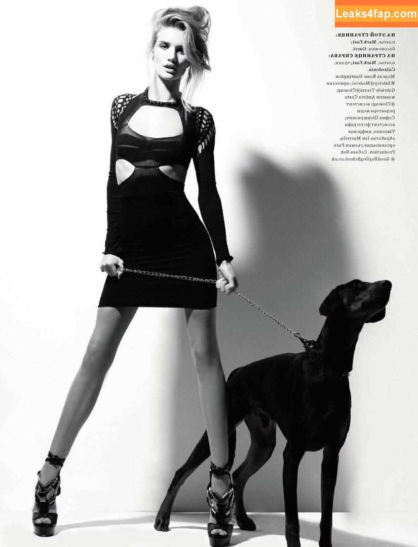 Rosie Huntington-Whiteley / rosiehw слитое фото фото #0250