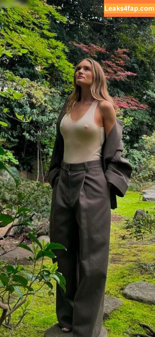 Rosie Huntington-Whiteley / rosiehw слитое фото фото #0572