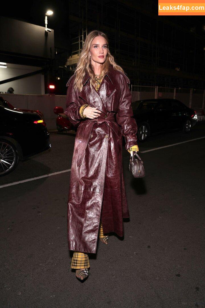 Rosie Huntington-Whiteley / rosiehw слитое фото фото #1406