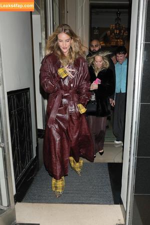 Rosie Huntington-Whiteley photo #1411