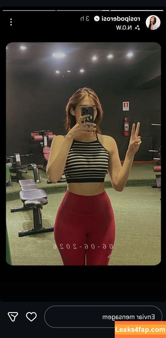 rosipoderosi / Roser / Rosicosplay leaked photo photo #0081