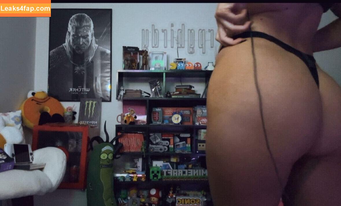 RPGBirdy / gamergirlbirdy leaked photo photo #0015