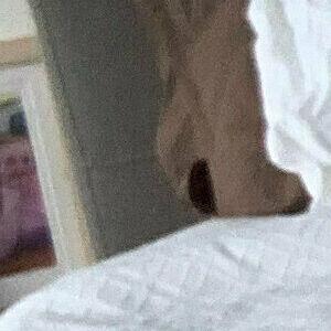 rroseex / rroseexx leaked photo photo #0051