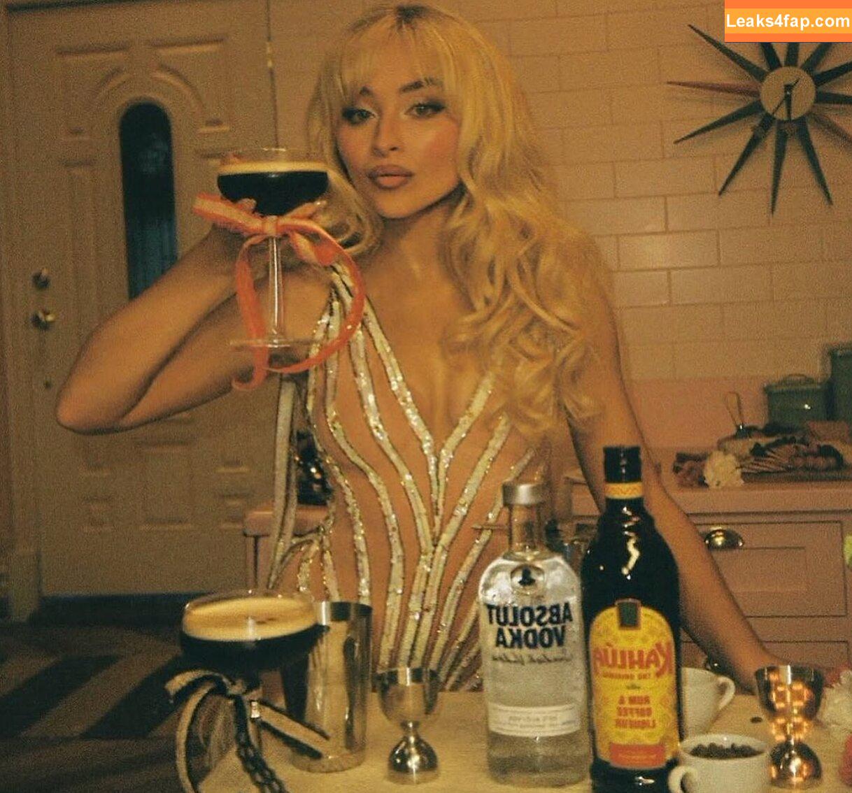Sabrina Carp /  leaked photo photo #0004