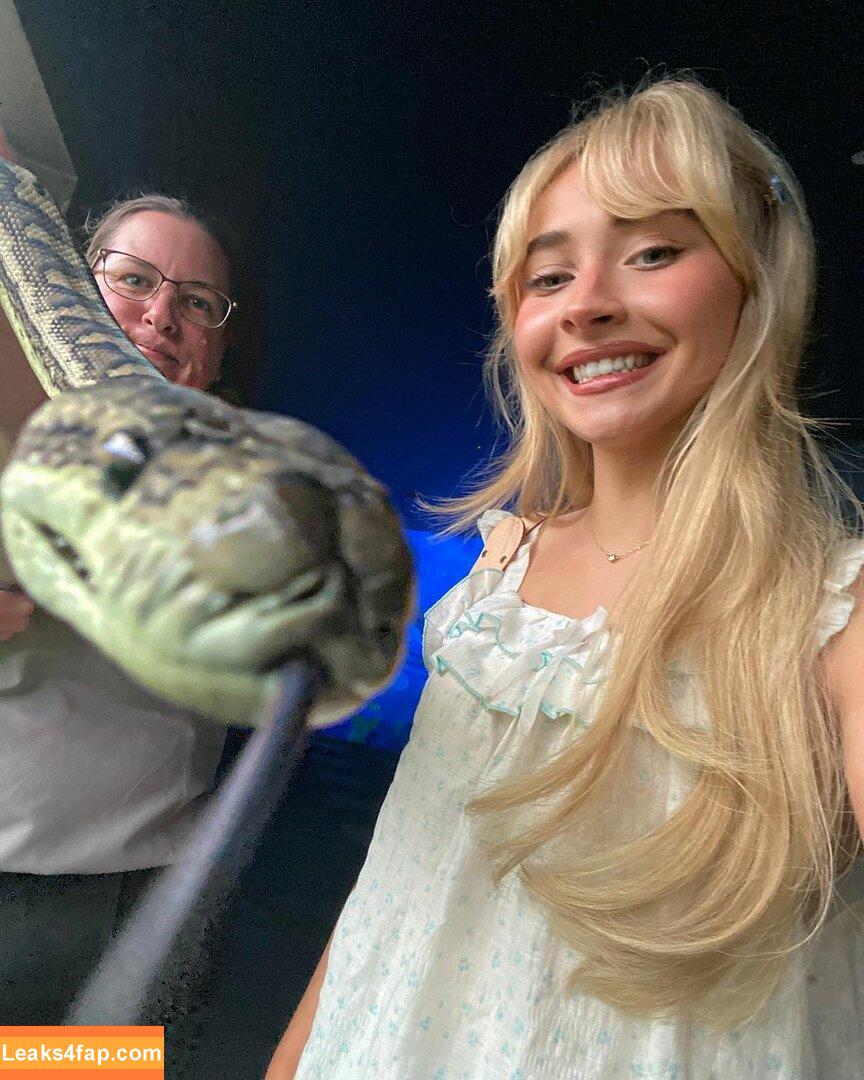 Sabrina Carpenter / sabrinacarpenter leaked photo photo #1814