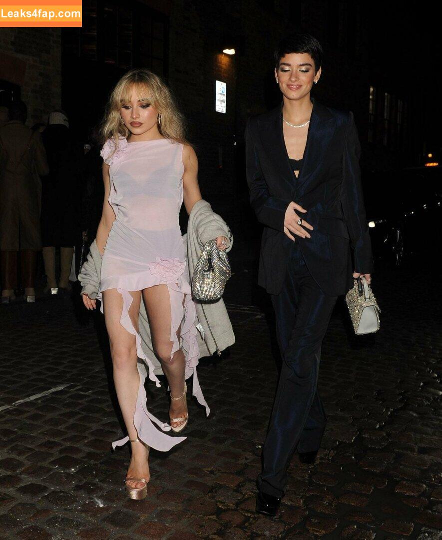 Sabrina Carpenter / SabrinaAnnLynn / sabrinacarpenter слитое фото фото #3354