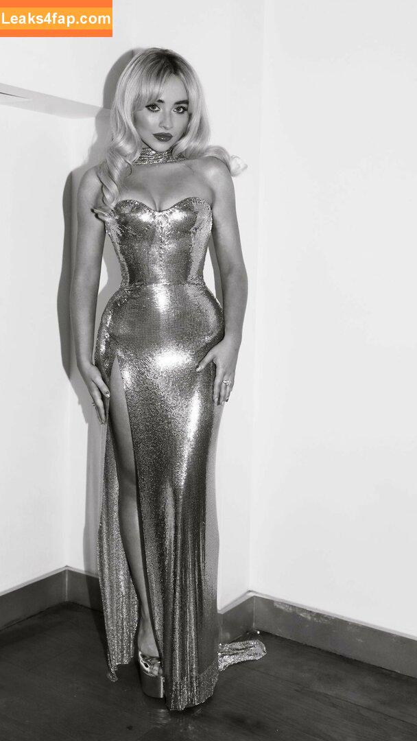 Sabrina Carpenter / SabrinaAnnLynn / sabrinacarpenter leaked photo photo #3481