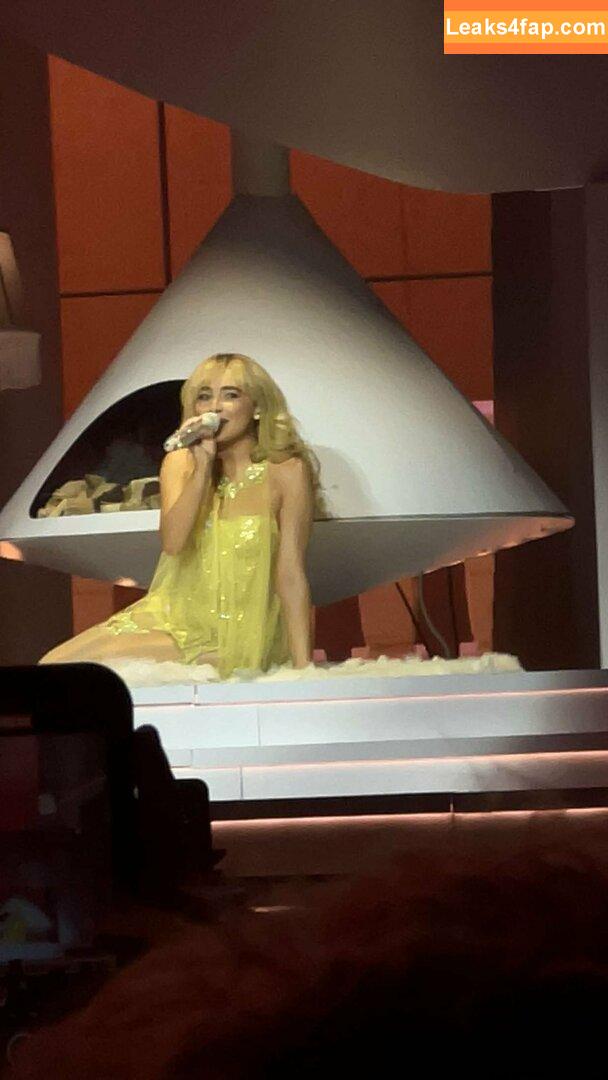 Sabrina Carpenter / SabrinaAnnLynn / sabrinacarpenter leaked photo photo #3503