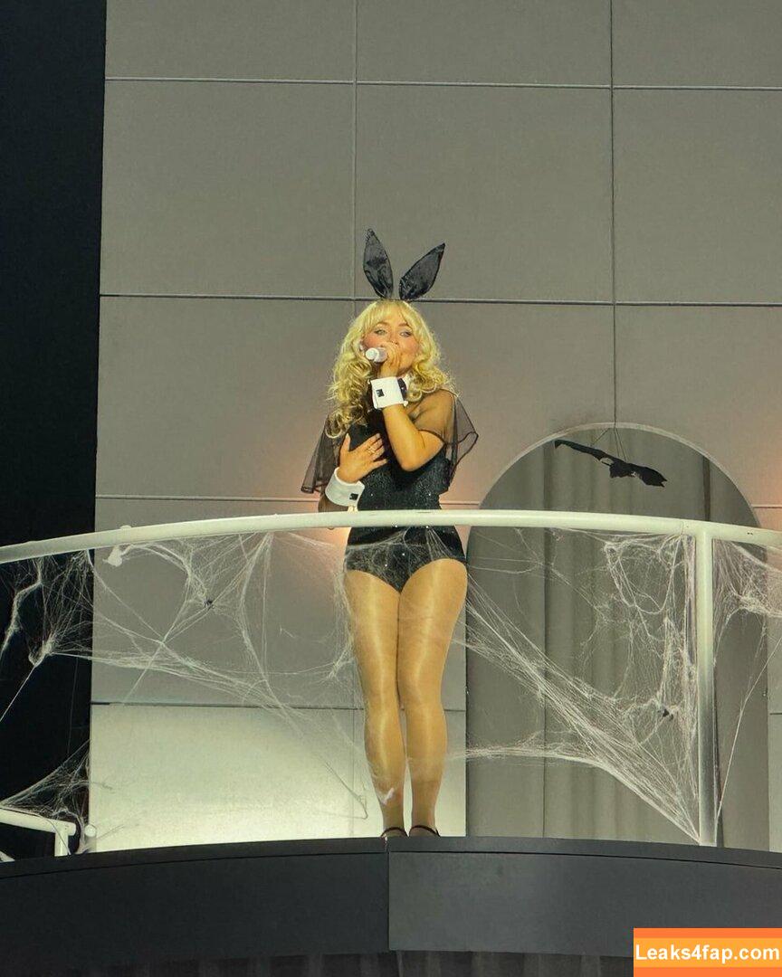 Sabrina Carpenter / SabrinaAnnLynn / sabrinacarpenter leaked photo photo #3814