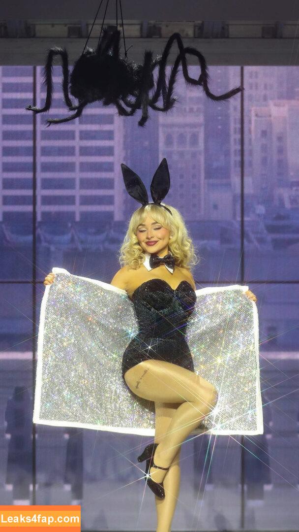 Sabrina Carpenter / SabrinaAnnLynn / sabrinacarpenter leaked photo photo #3821