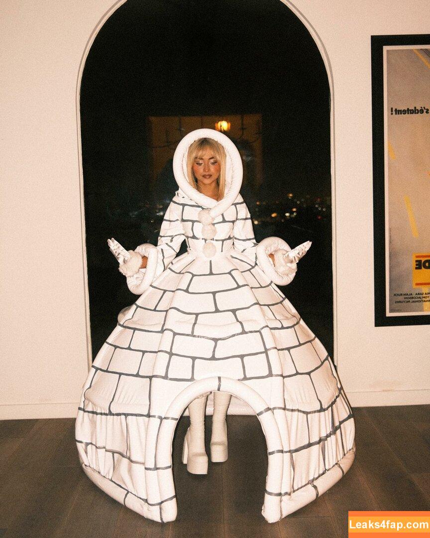 Sabrina Carpenter / SabrinaAnnLynn / sabrinacarpenter leaked photo photo #3863