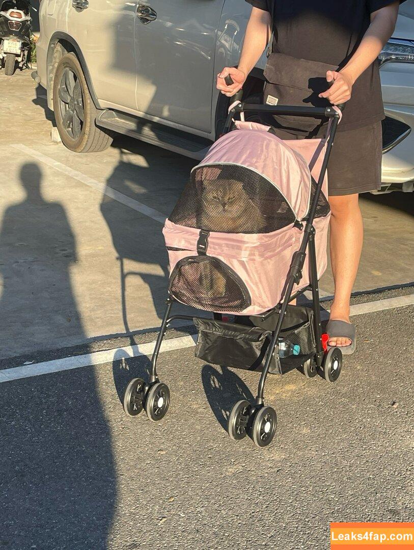 Saizneko / anyuser / saizneko_2 leaked photo photo #1052