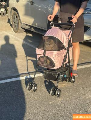 Saizneko photo #1052