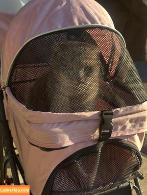 Saizneko photo #1053