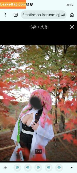 Saku photo #3379