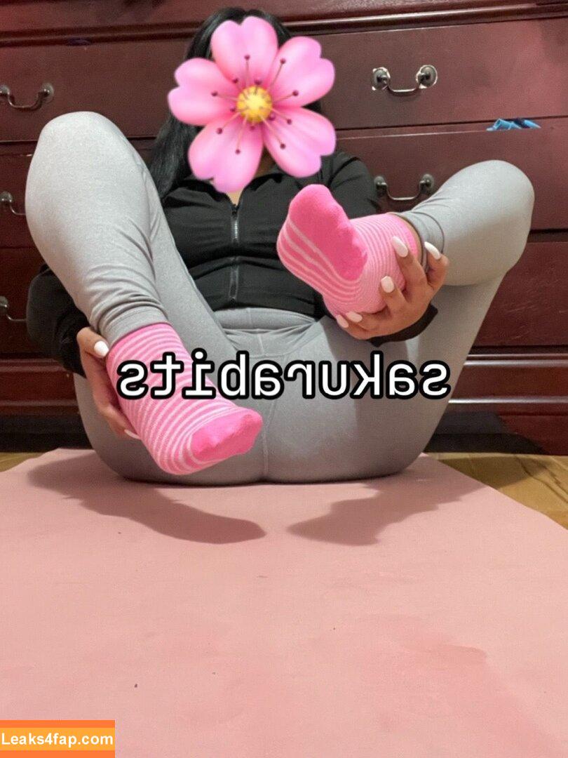 Sakurabits / Sanriosanx.exe / cherryblossombits / sakurabit leaked photo photo #0052